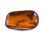 amber.png
